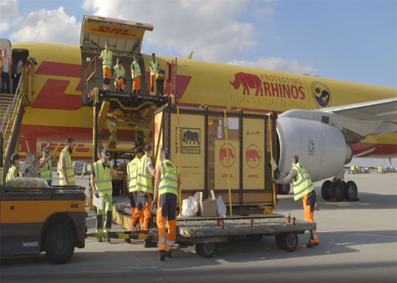 100kg DDP Dünya Çapında Ekspres Kurye Servisi