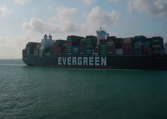 FCL Uluslararası Deniz Kargo Malları Teslimatı DDP DDU Çin'den Meksika'ya Kanada